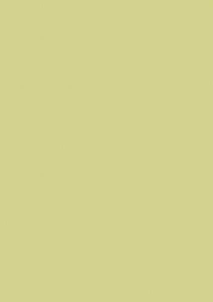 Fond Papier #13 Tropical Green 2,72 x 11m