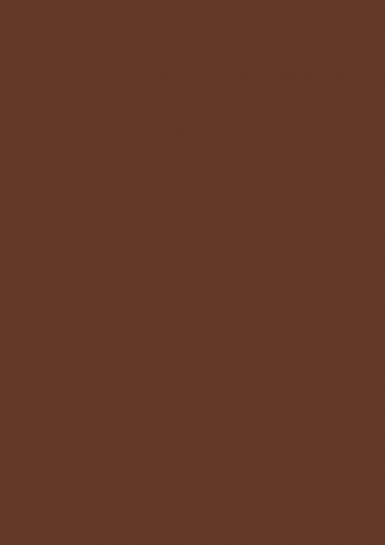 Fond Papier #20 Peat Brown 2,72 x 11m