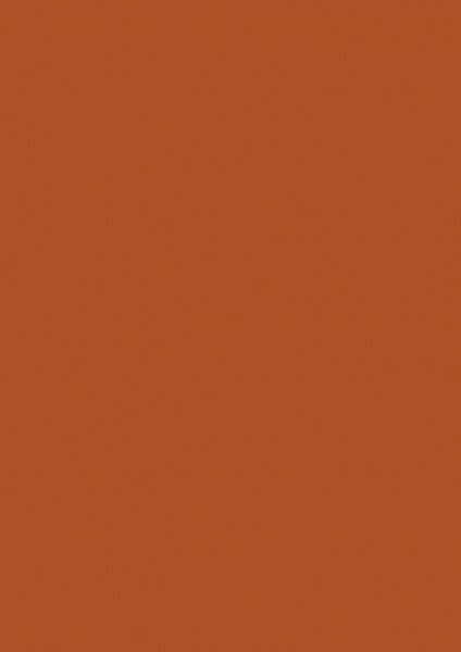 Fond Papier #48 Cedar 1,35 x11m