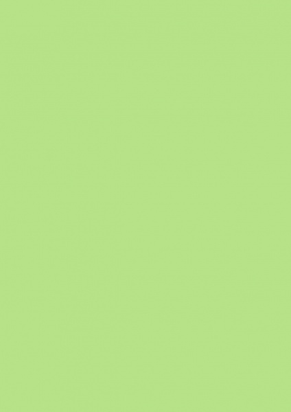Fond Papier #63 Summer Green 1,35 x 11m
