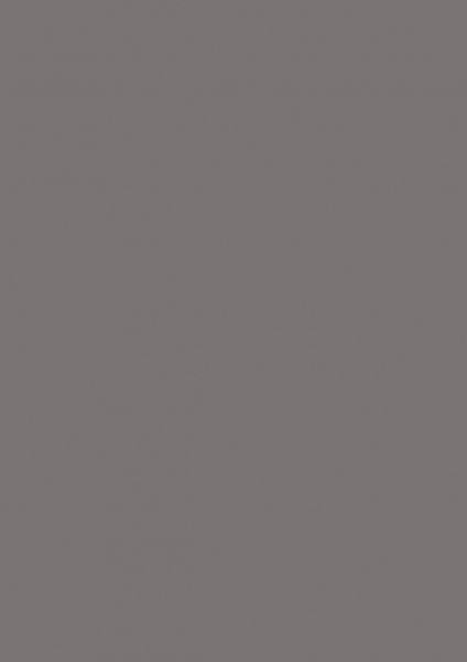 New! Fond Papier #72 Fossil Grey 2,72 x 11m